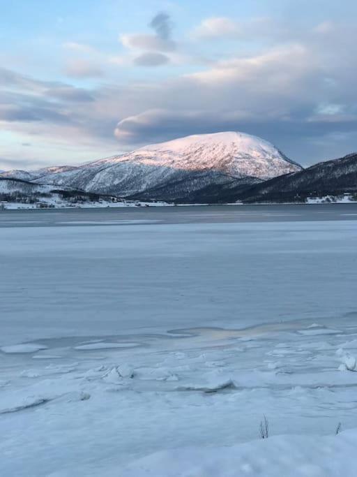 Trivelig Fritidshus Pa Arnes, Senja Straumstad ภายนอก รูปภาพ