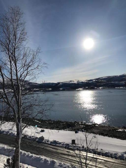 Trivelig Fritidshus Pa Arnes, Senja Straumstad ภายนอก รูปภาพ