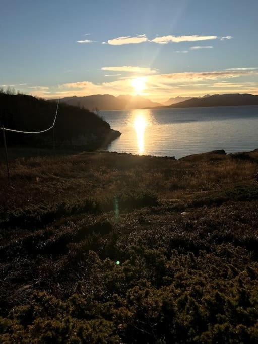 Trivelig Fritidshus Pa Arnes, Senja Straumstad ภายนอก รูปภาพ
