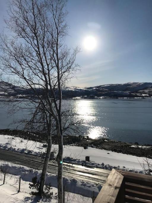 Trivelig Fritidshus Pa Arnes, Senja Straumstad ภายนอก รูปภาพ
